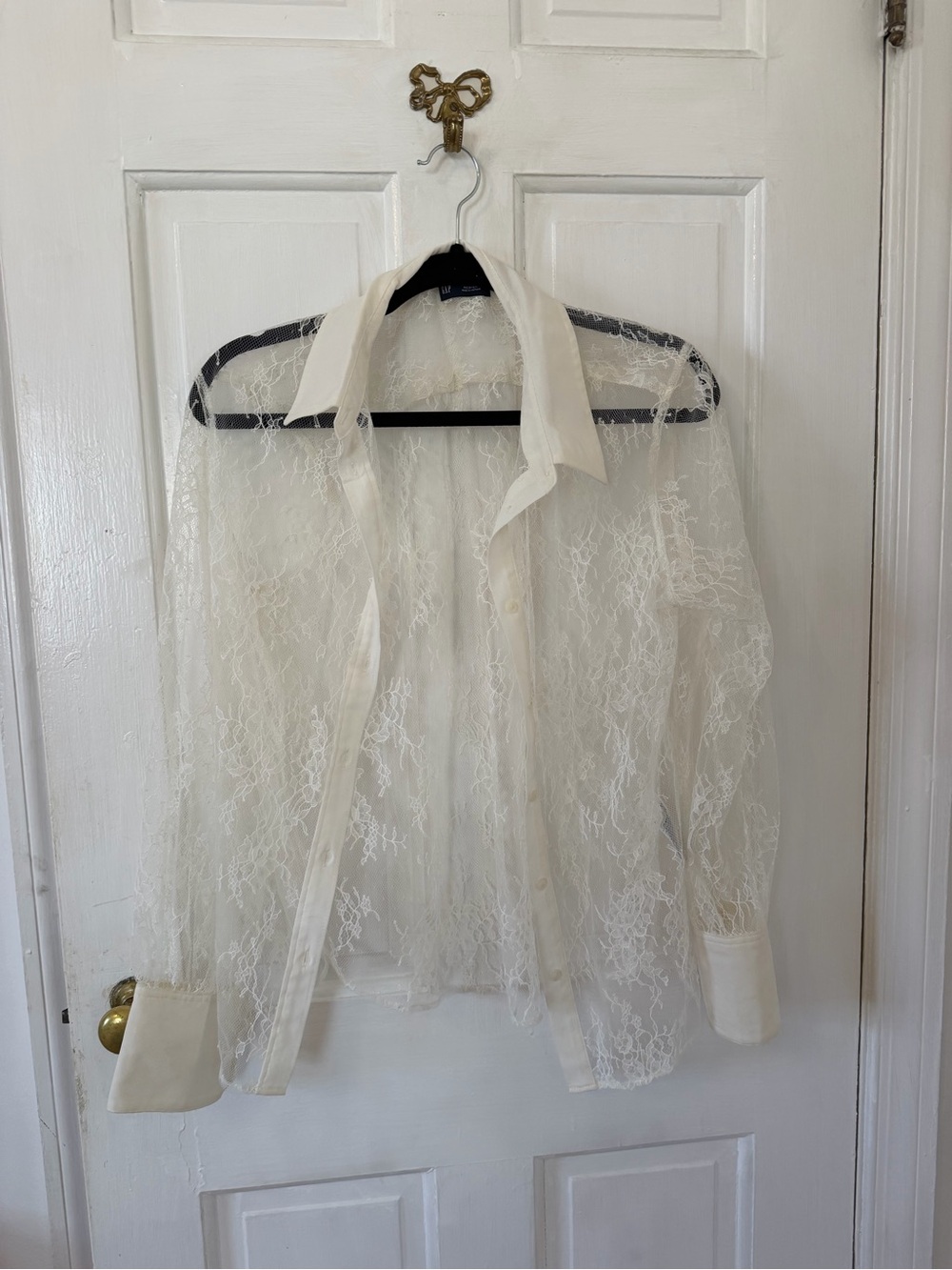 GAP Sheer Lace Button-Down Shirt